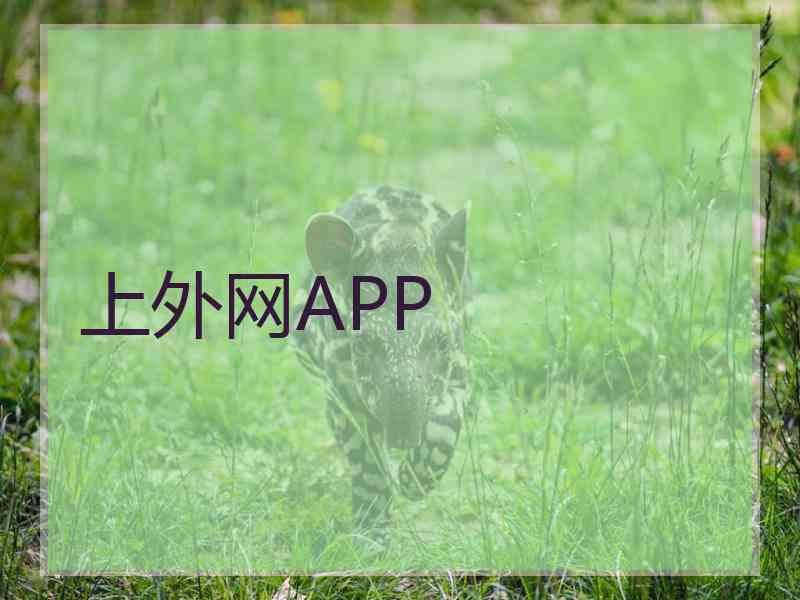 上外网APP