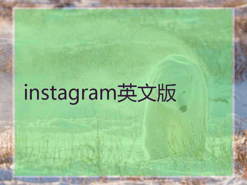 instagram英文版