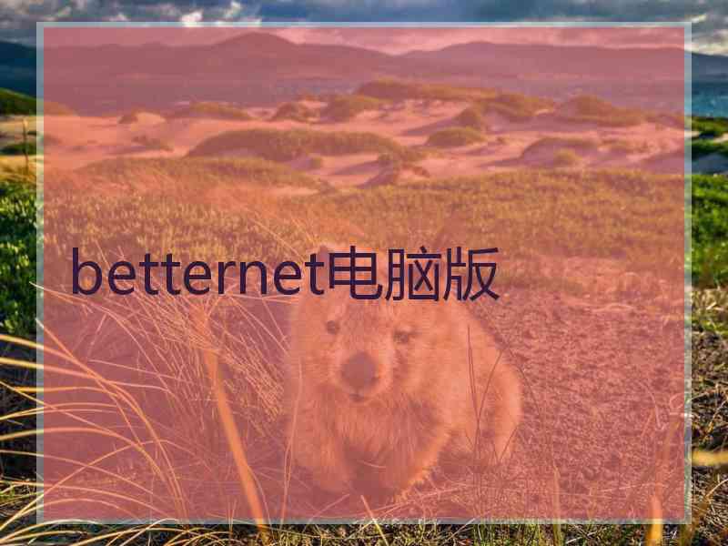 betternet电脑版