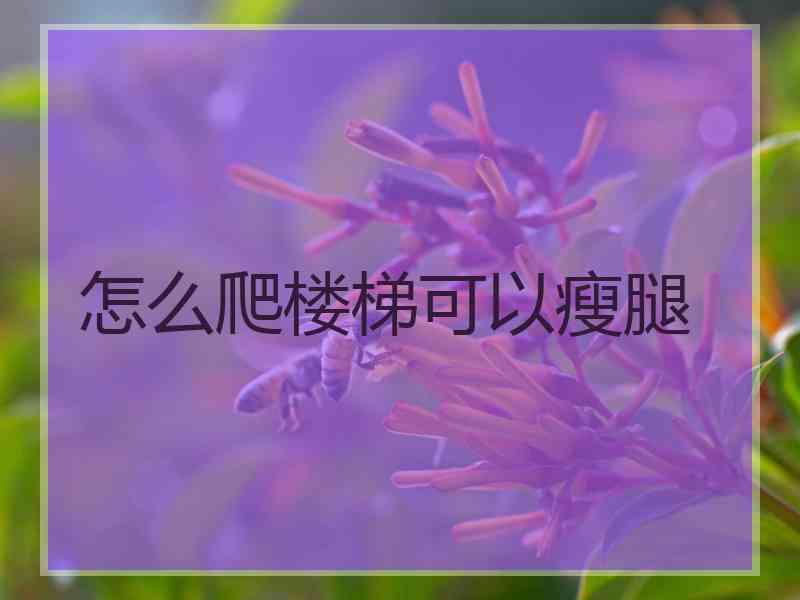 怎么爬楼梯可以瘦腿