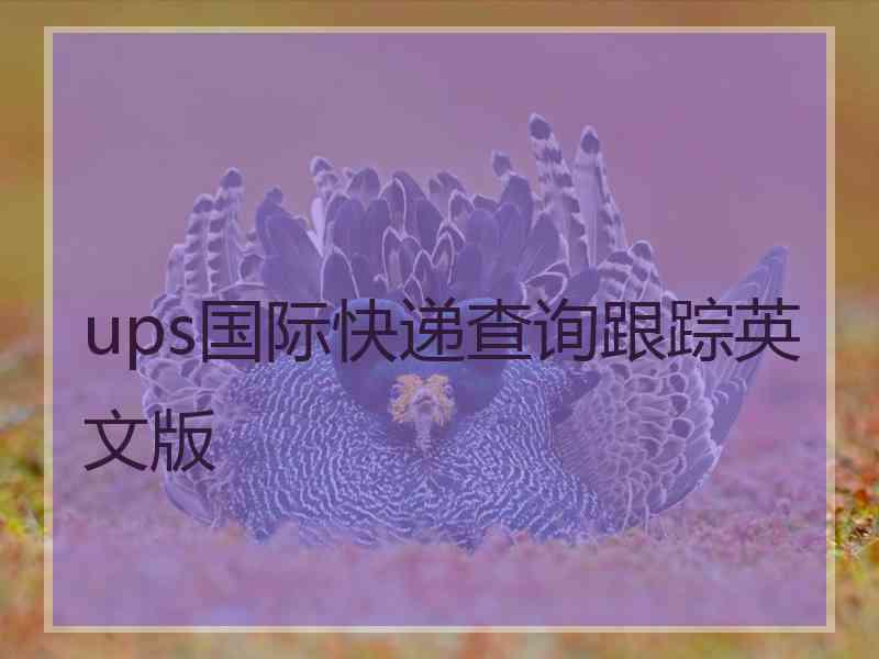 ups国际快递查询跟踪英文版