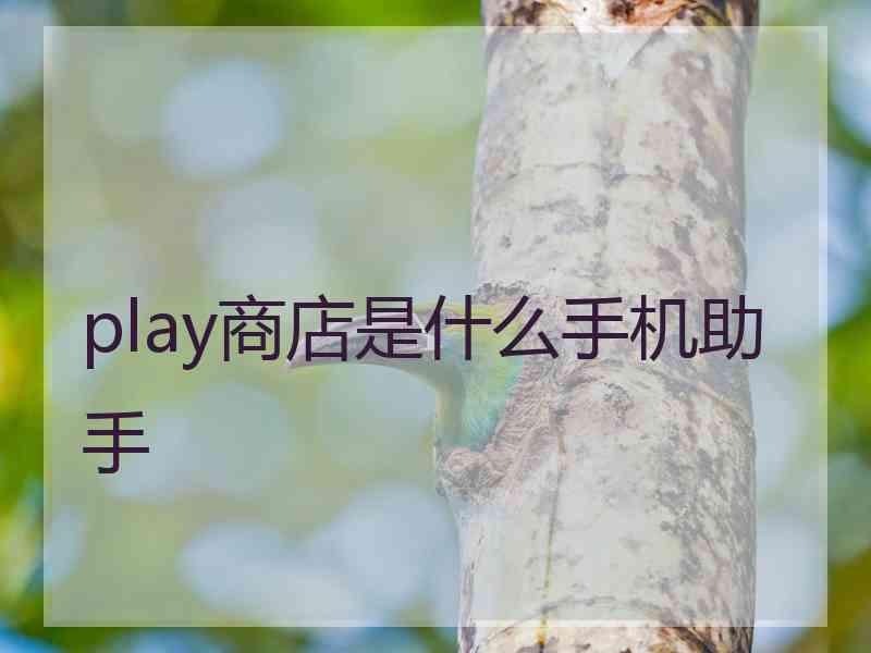 play商店是什么手机助手