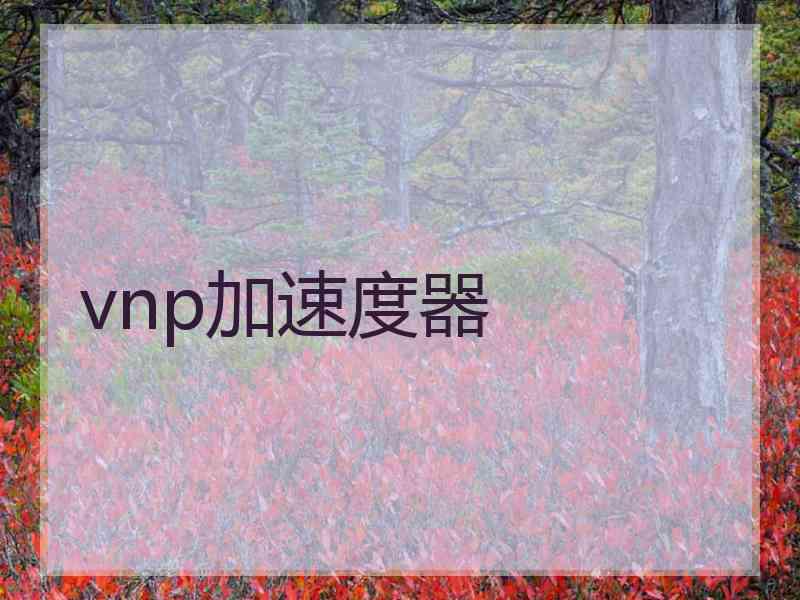 vnp加速度器