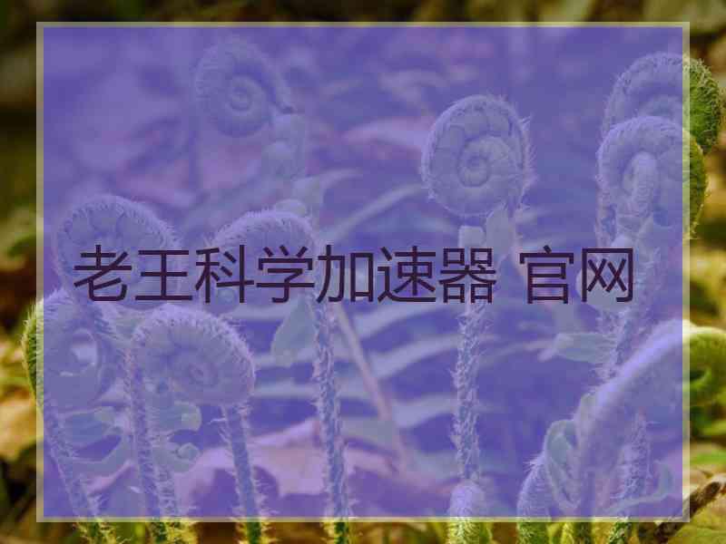 老王科学加速器 官网