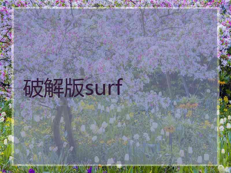 破解版surf