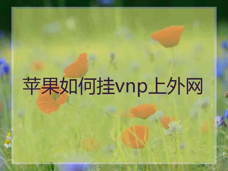 苹果如何挂vnp上外网