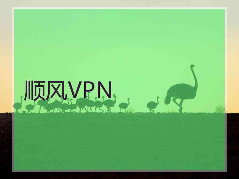 顺风VPN