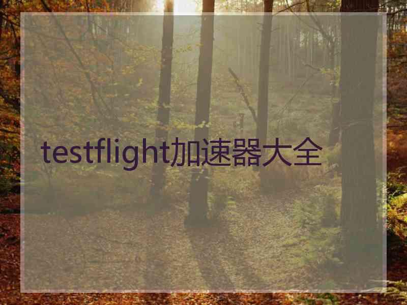 testflight加速器大全