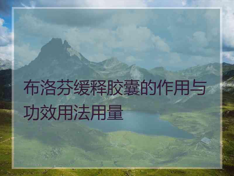 布洛芬缓释胶囊的作用与功效用法用量