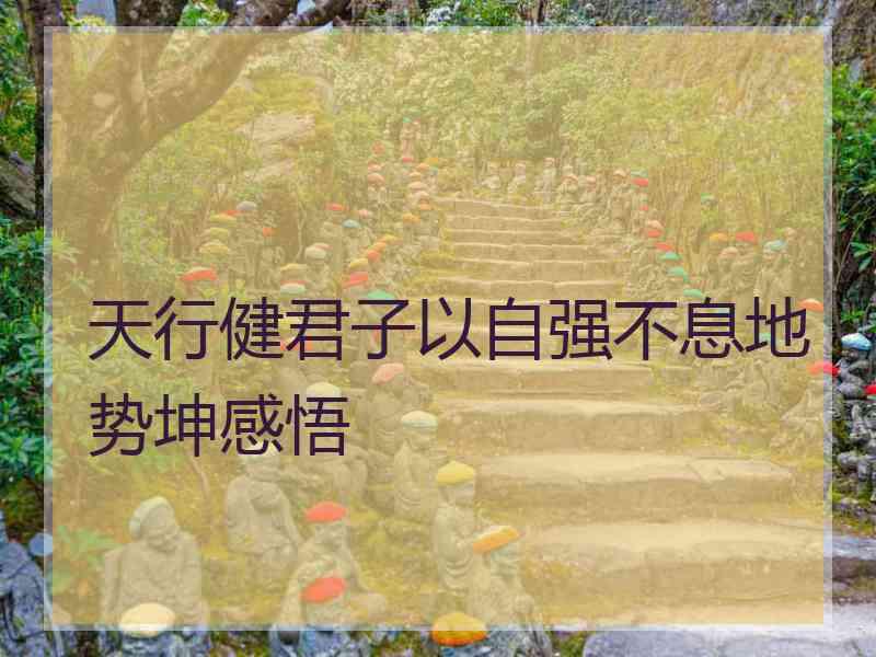 天行健君子以自强不息地势坤感悟