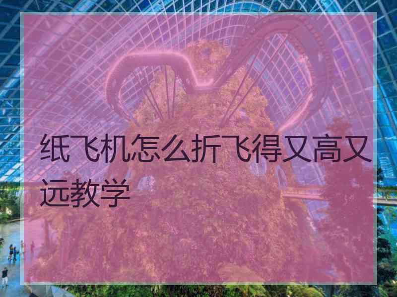 纸飞机怎么折飞得又高又远教学