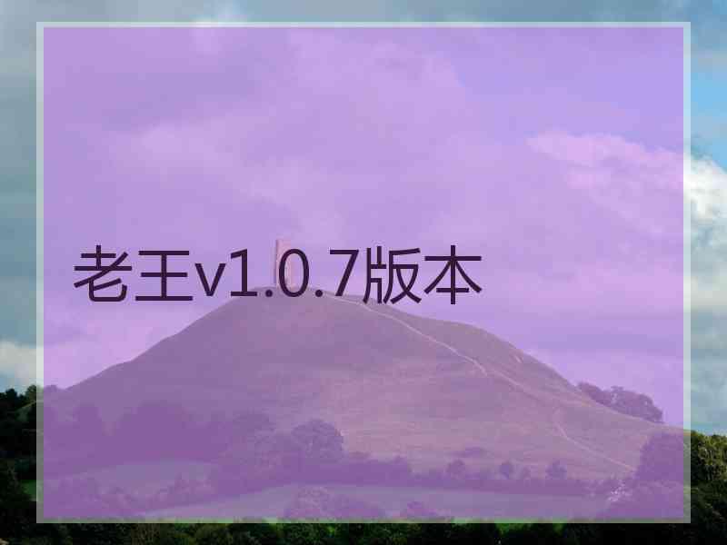 老王v1.0.7版本