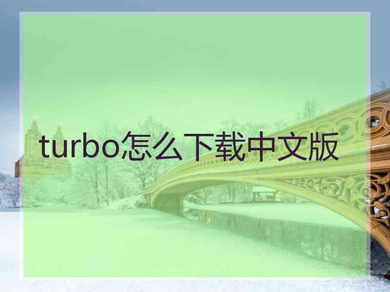 turbo怎么下载中文版