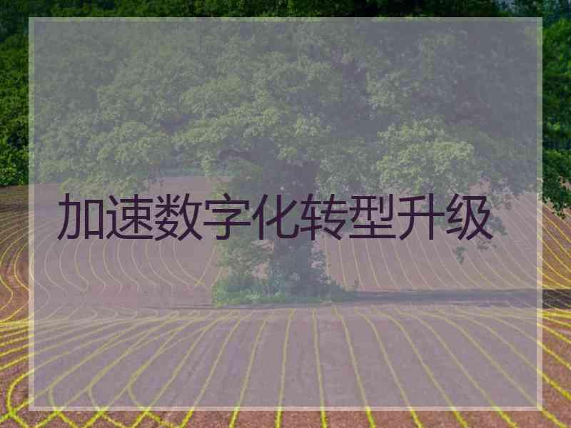 加速数字化转型升级