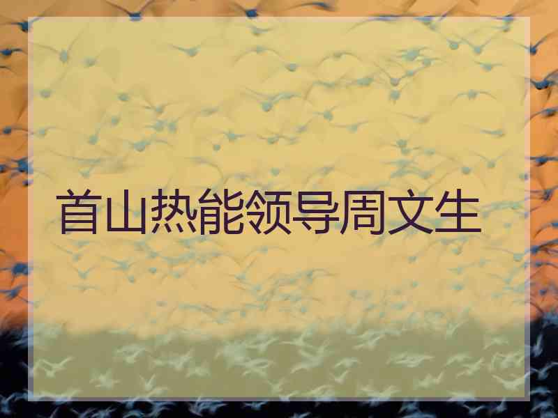 首山热能领导周文生