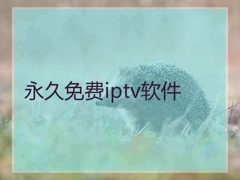 永久免费iptv软件