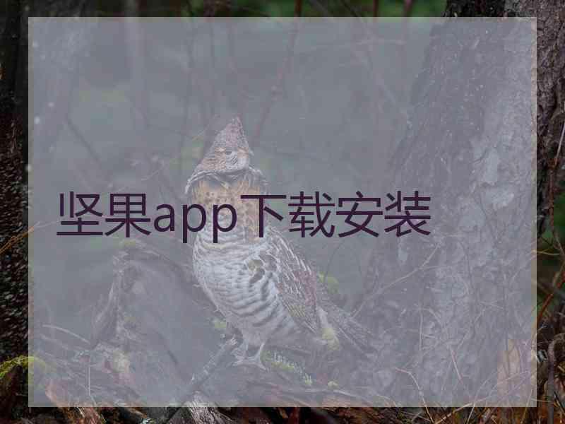 坚果app下载安装