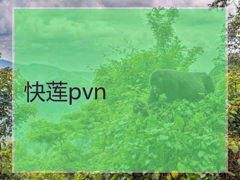 快莲pvn