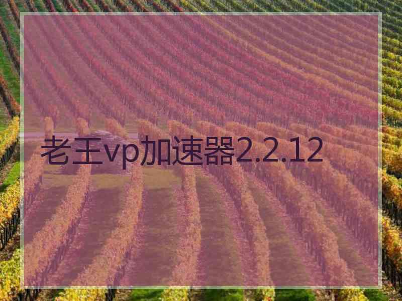 老王vp加速器2.2.12