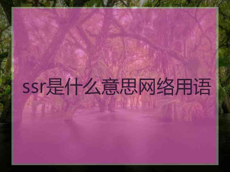 ssr是什么意思网络用语