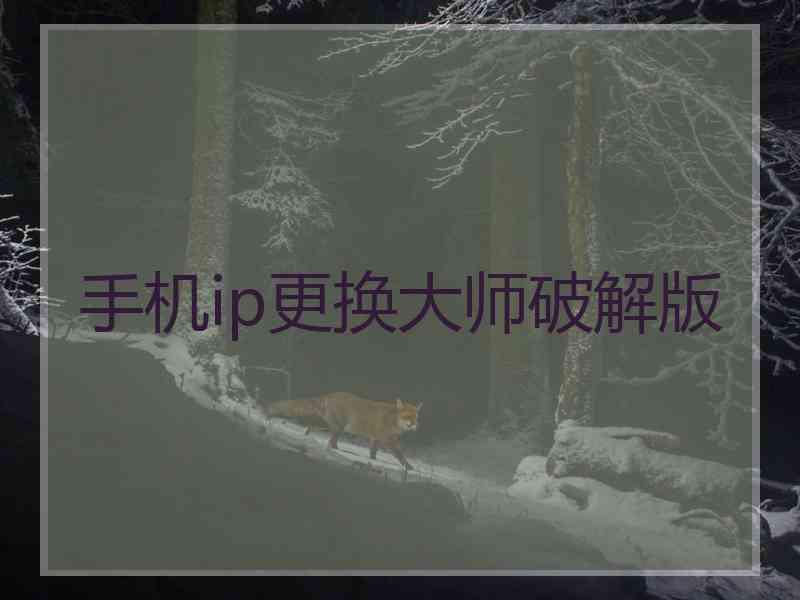 手机ip更换大师破解版