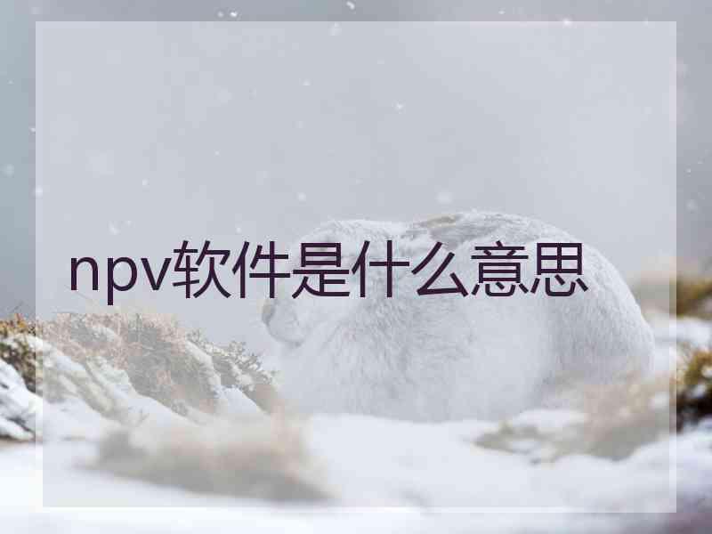 npv软件是什么意思