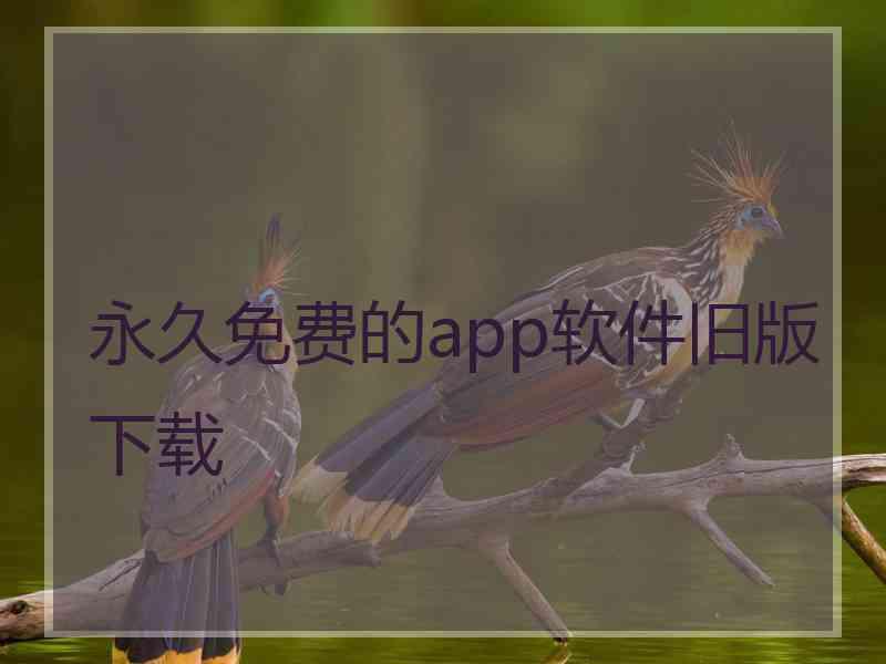 永久免费的app软件旧版下载