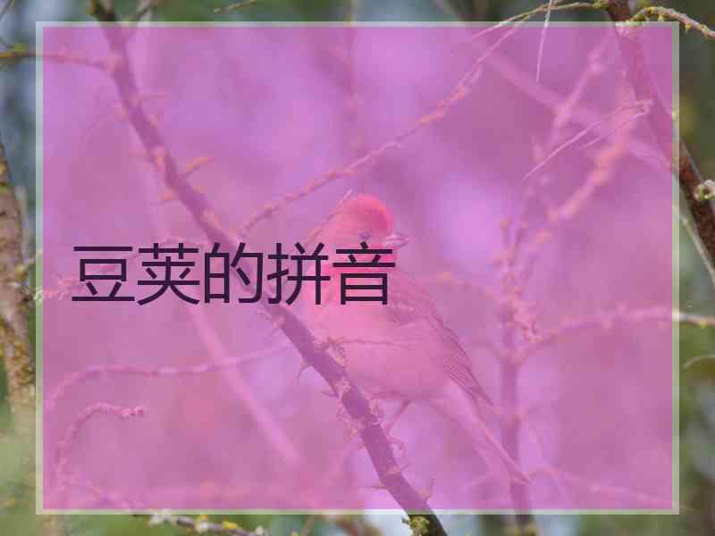 豆荚的拼音