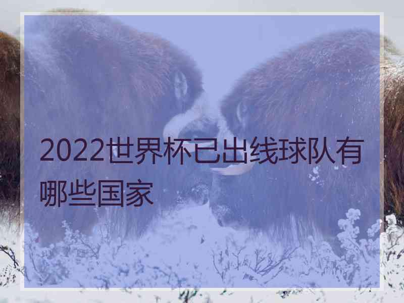 2022世界杯已出线球队有哪些国家