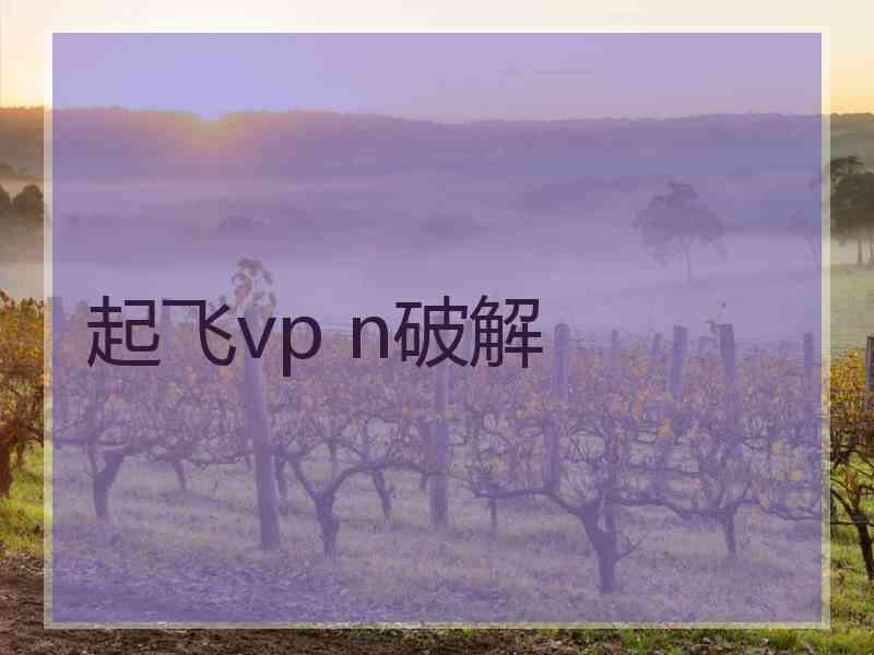 起飞vp n破解