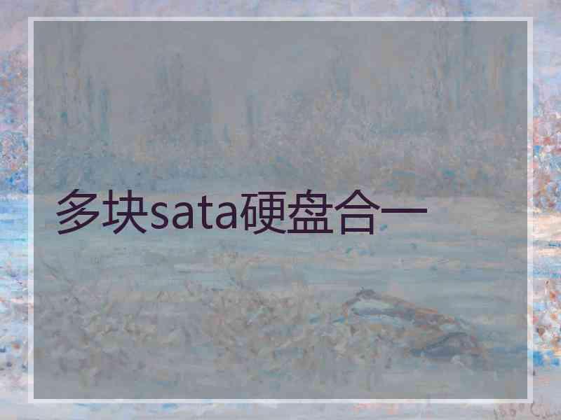 多块sata硬盘合一