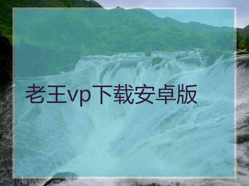 老王vp下载安卓版