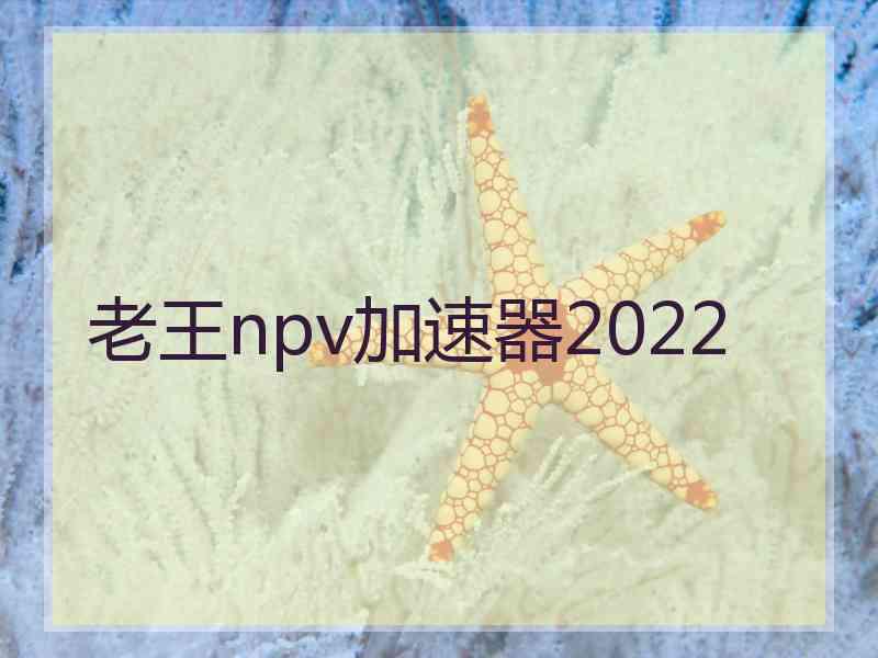 老王npv加速器2022