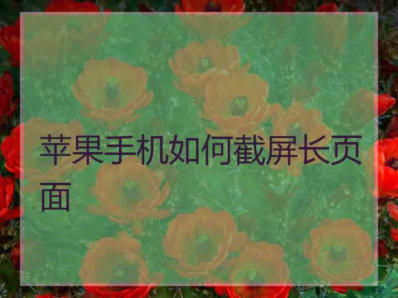 苹果手机如何截屏长页面