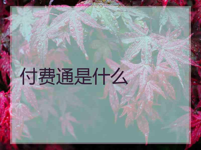 付费通是什么