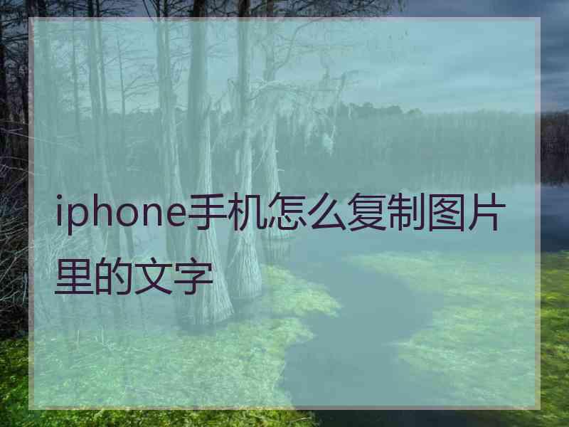 iphone手机怎么复制图片里的文字