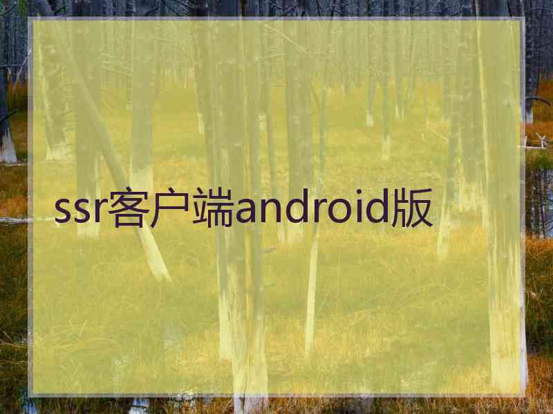 ssr客户端android版