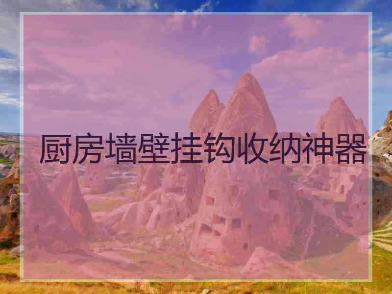 厨房墙壁挂钩收纳神器