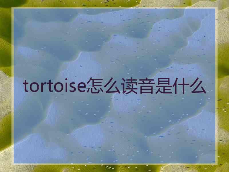 tortoise怎么读音是什么