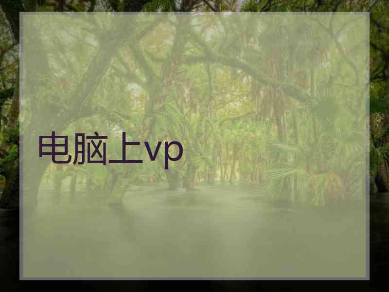 电脑上vp