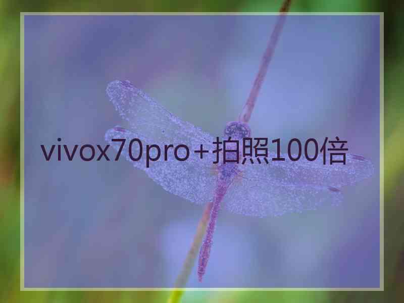 vivox70pro+拍照100倍