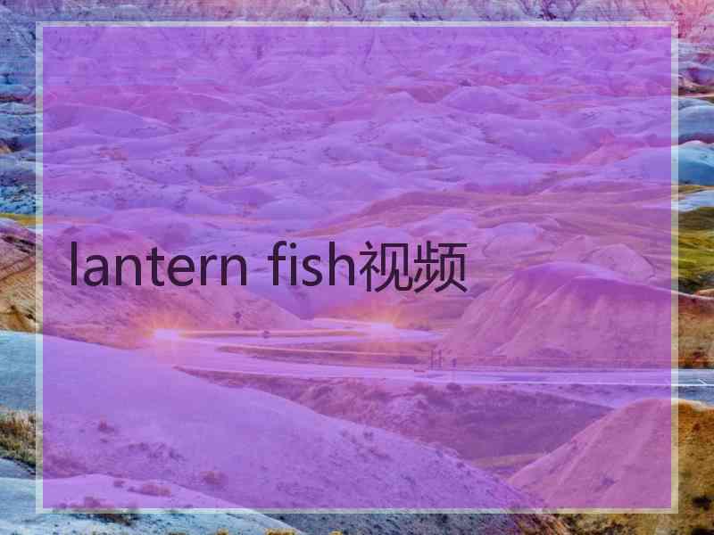 lantern fish视频