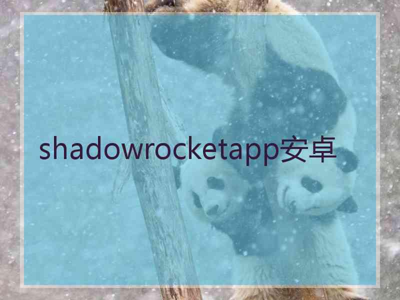 shadowrocketapp安卓