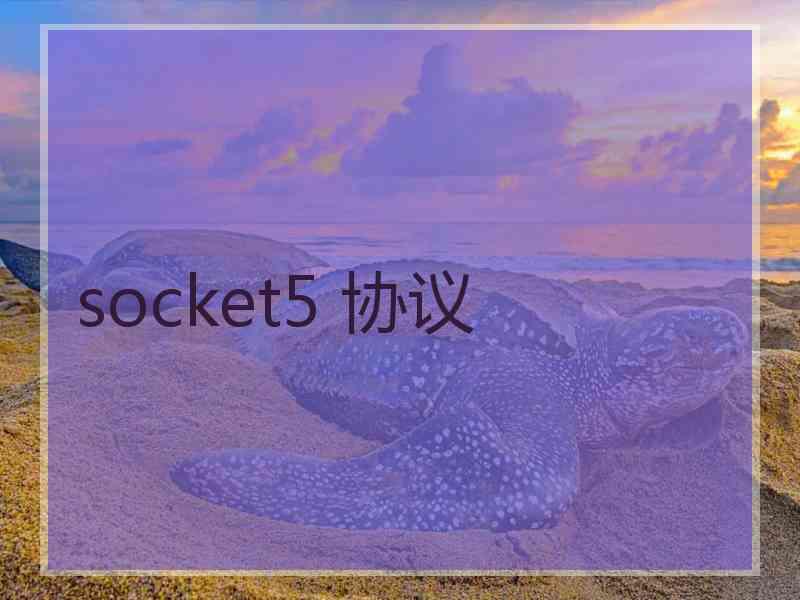 socket5 协议