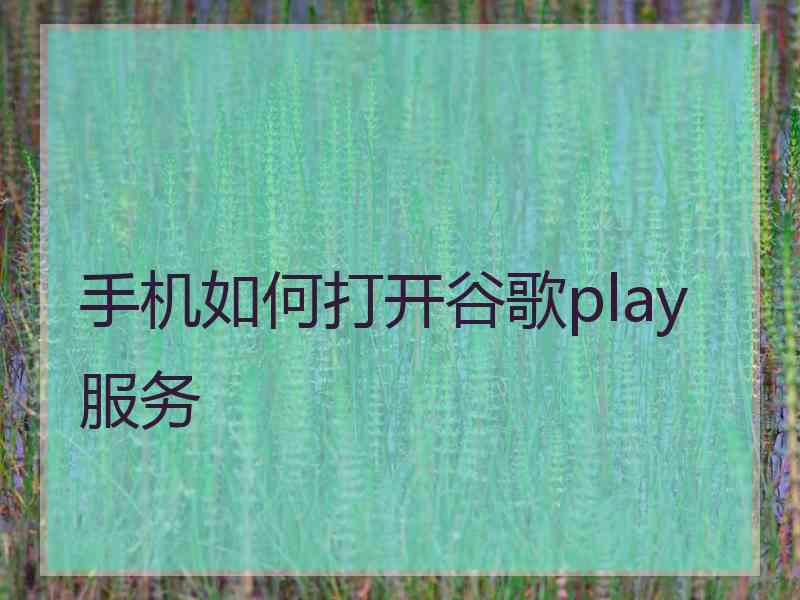 手机如何打开谷歌play服务