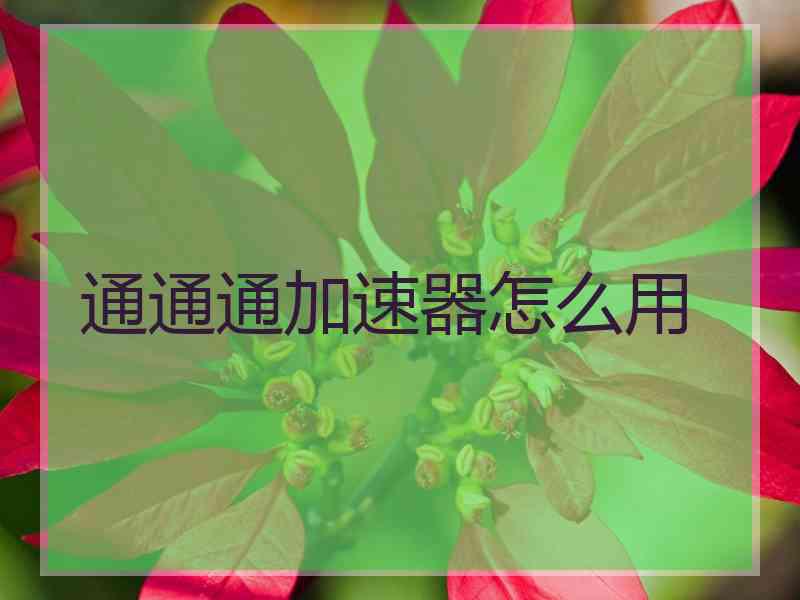 通通通加速器怎么用