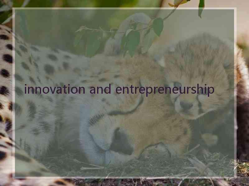 innovation and entrepreneurship