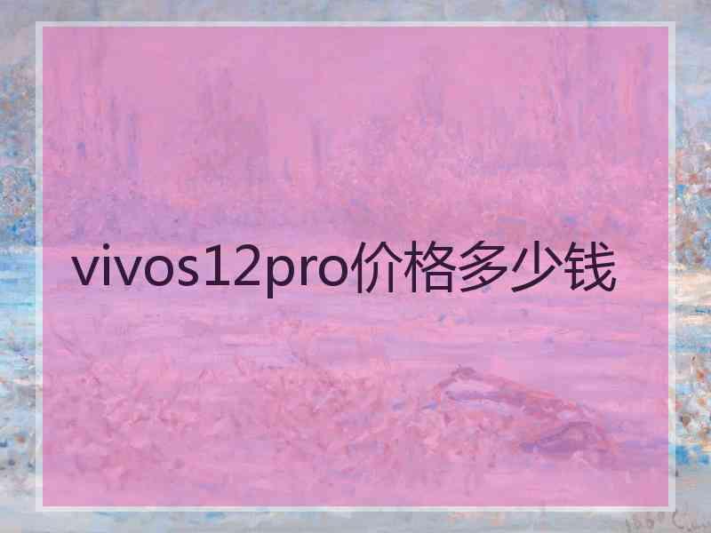 vivos12pro价格多少钱