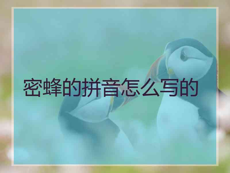 密蜂的拼音怎么写的