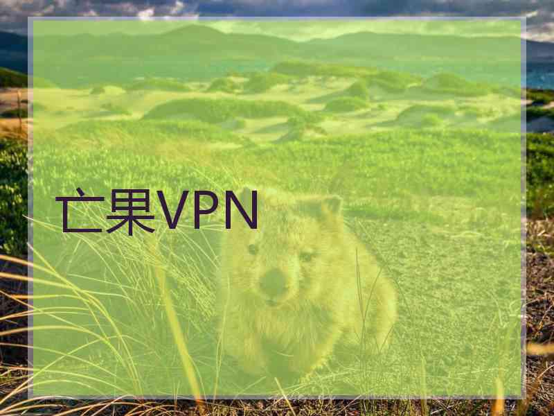 亡果VPN